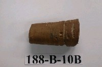 藏品(直角石)的圖片